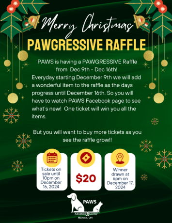 Flyer for Christmas raffle