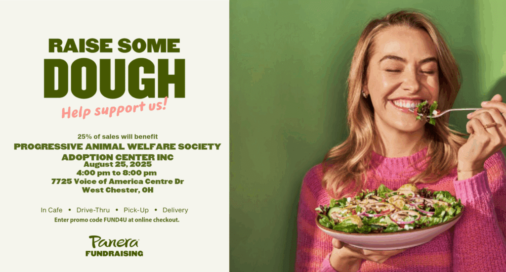 Image of a woman eating a salad with information about a fundraiser at PAWS