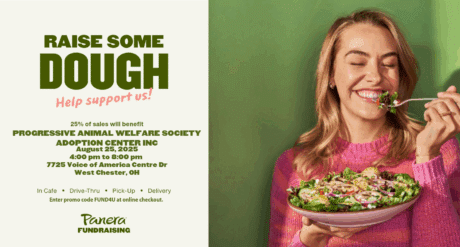Image of a woman eating a salad with information about a fundraiser at PAWS