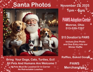 Pics with Santa Flyer