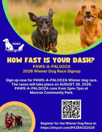 flyer with two dachshunds running and information about signing up for our wiener dog races
